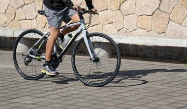 Crossline Rigid Disc